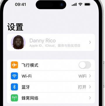 扎赉特appleID维修服务iPhone设置中Apple ID显示为灰色无法使用 