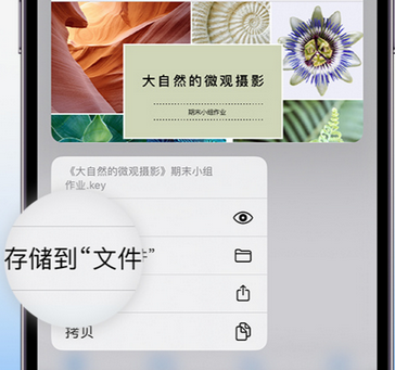 扎赉特apple维修中心分享iPhone文件应用中存储和找到下载文件