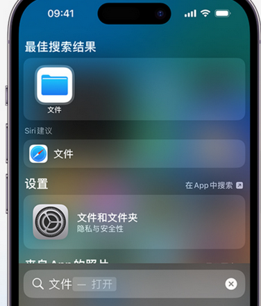 扎赉特apple维修中心分享iPhone文件应用中存储和找到下载文件 