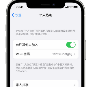 扎赉特apple服务站点分享iPhone上个人热点丢失了怎么办 