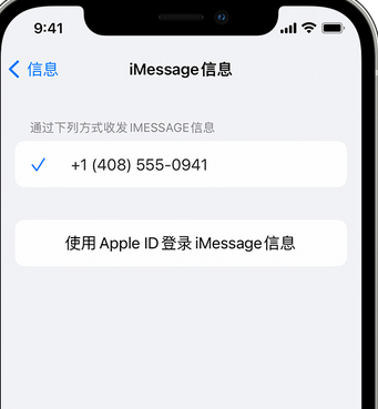 扎赉特apple维修iPhone上无法正常发送iMessage信息 