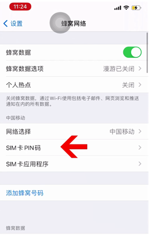 扎赉特苹果14维修网分享如何给iPhone14的SIM卡设置密码 