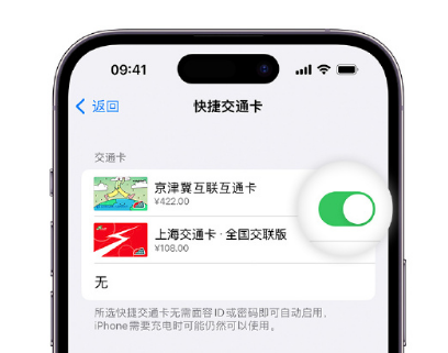 扎赉特apple维修点分享iPhone上更换Apple Pay快捷交通卡手绘卡面 