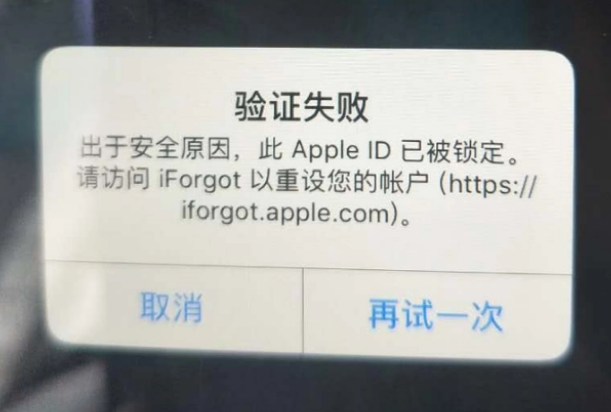 扎赉特iPhone维修分享iPhone上正常登录或使用AppleID怎么办 