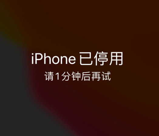 扎赉特苹果手机维修分享:iPhone 显示“不可用”或“已停用”怎么办？还能保留数据吗？ 