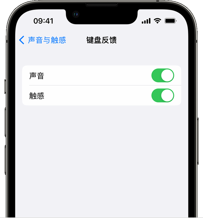 扎赉特苹果14维修店分享如何在 iPhone 14 机型中使用触感键盘 