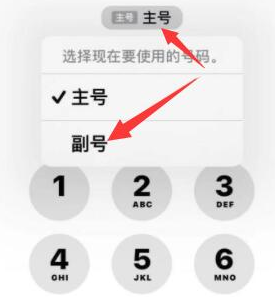 扎赉特苹果14维修店分享iPhone 14 Pro Max使用副卡打电话的方法 