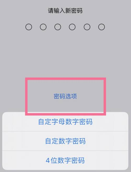 扎赉特苹果14维修分享iPhone 14plus设置密码的方法 