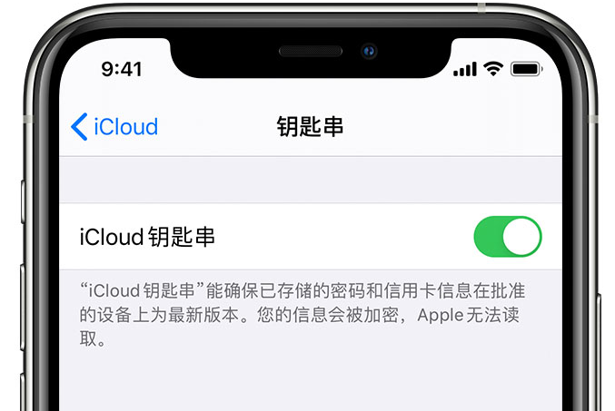 扎赉特苹果手机维修分享在 iPhone 上开启 iCloud 钥匙串之后会储存哪些信息 