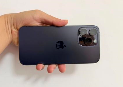扎赉特苹果维修点分享iPhone 14 Pro Max黑屏少见故障盘点 
